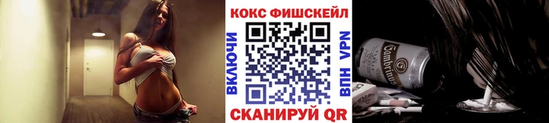 COCAIN Fish Scale  Купить где  Бирюсинск 