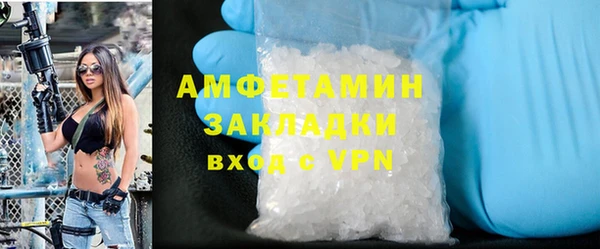 индика Каменногорск