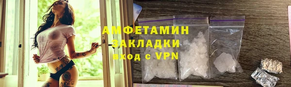 индика Каменногорск