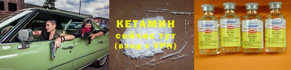 индика Каменногорск