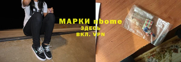 индика Каменногорск