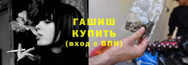 индика Каменногорск