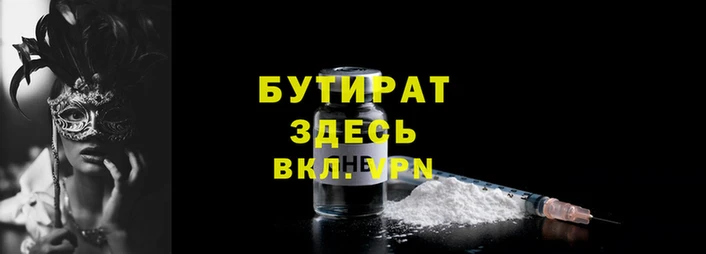 индика Каменногорск