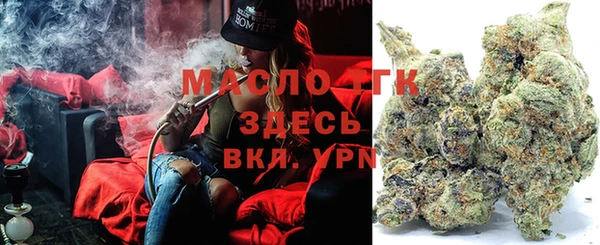 индика Каменногорск