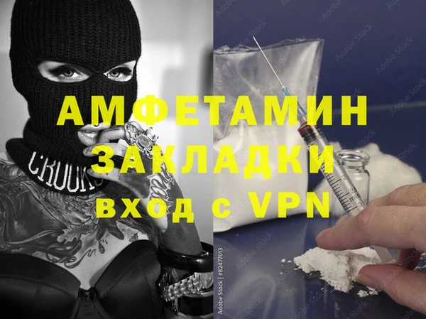 индика Каменногорск