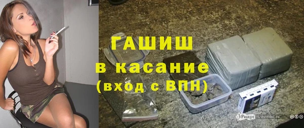 индика Каменногорск