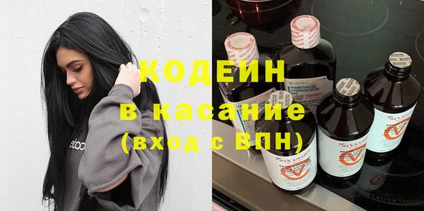 индика Каменногорск