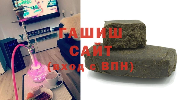 индика Каменногорск