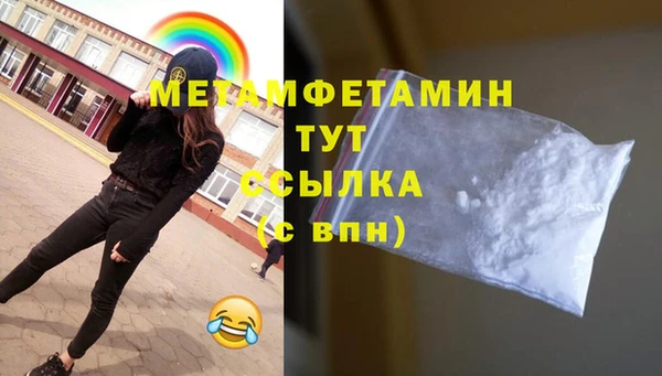 индика Каменногорск